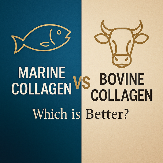 Marine Collagen vs Bovine Collagen: Which is Better?