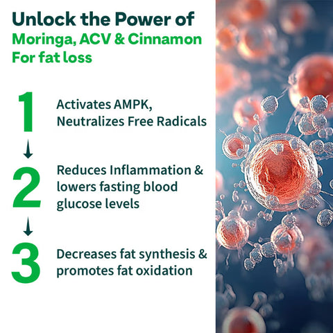 Oziva Acv Moringa | Control Cravings I Apple Cider Vinegar, Cinnamon, Guggul I No Maltodextrin & No Added Sugar I 15 Effervescent Tablets - Lemon Masala, (15 Tablets)