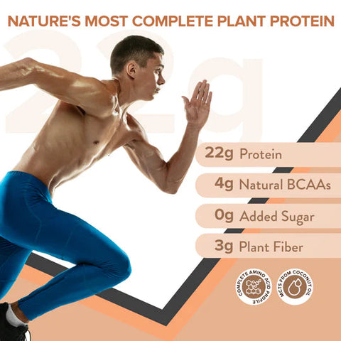 Wellbeing Nutrition Superfood Plant Protein + Korean Marine Collagen Peptides