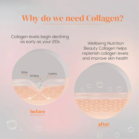 Wellbeing nutrition Beauty Japanese Marine Collagen Peptides, 250 gms with KUWA Bottle