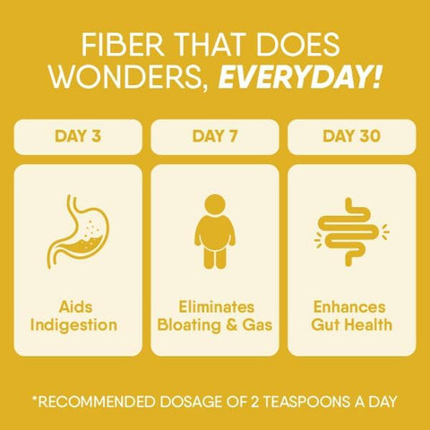 TruNativ Everyday Fiber| Enhances Digestive Health 100g