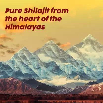 PLIX Pure Shilajit Elaichi Flavour 15 قرص فوارة (4/عبوة)