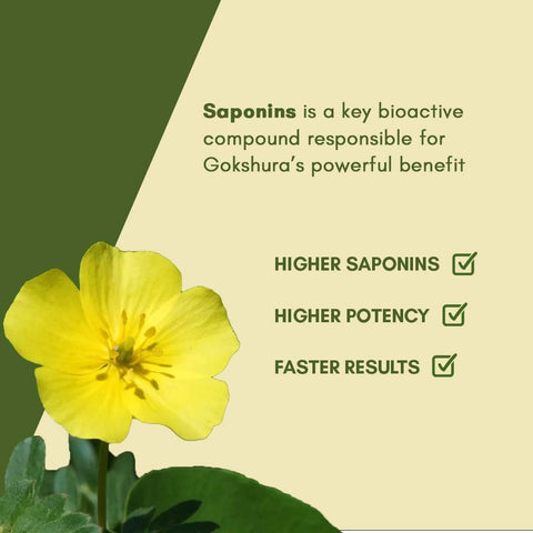 Rasayanam Tribulas Gokhru-60 1000mg Tablets 60