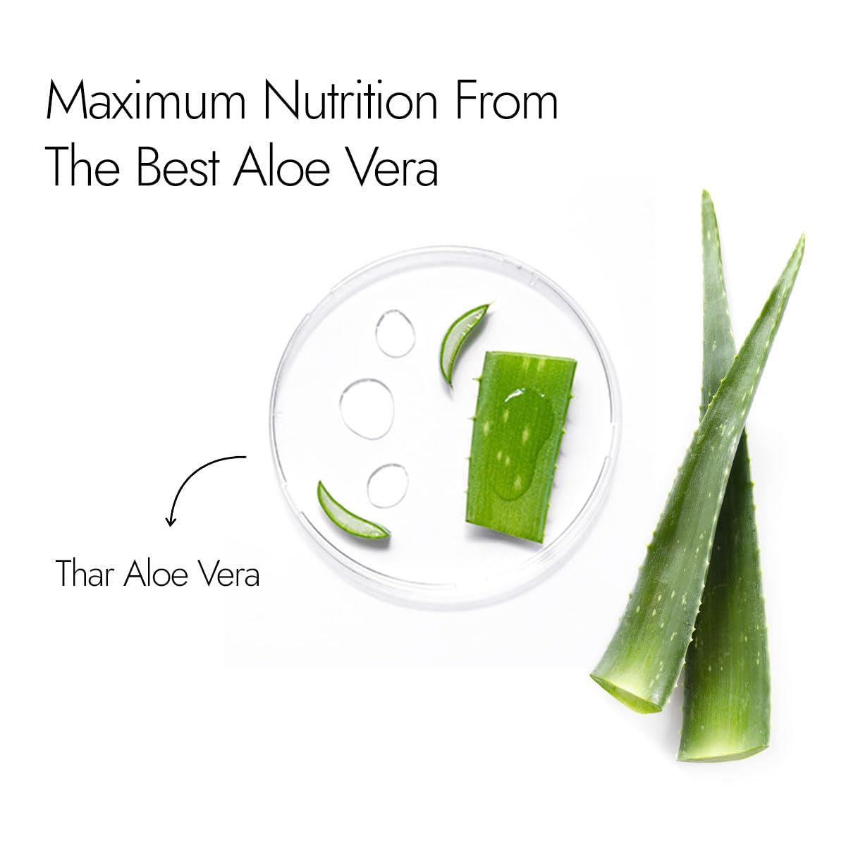 Kapiva Aloe Vera Skin Gel 500 Gm