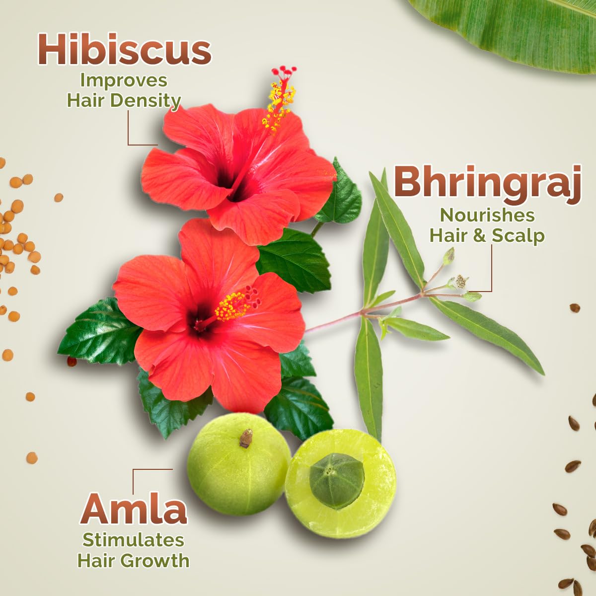 Mamaearth Kerala Thaali Hair Oil 150 ml