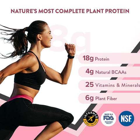 Wellbeing Nutrition Organic Vegan Plant Protein Powder for Women | Chocolate Peanut Butter - 30gm