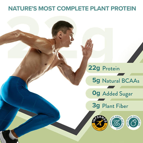 Wellbeing Nutrition Organic Vegan Plant Protein Isolate Powder British Banoffee Pie -500gm