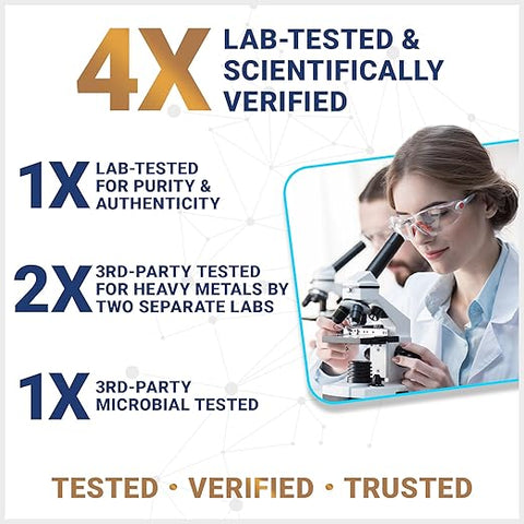 Dr. Berg Turmeric Curcumin Dietary Supplement Capsules 60 Count