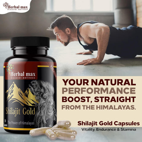 Herbal Max High Potency Shilajit Gold، 800 مجم وموصل الصفد، 800 مجم مصنوع من أعشاب عضوية تدعم القدرة على التحمل، وزيادة النشاط والحيوية، مجموعة 90 كبسولة