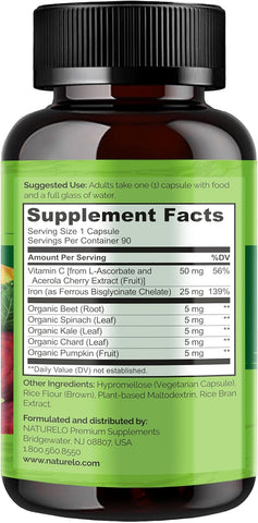 Naturelo Vegan Iron Supplement With Vitamin C And Organic Whole Foods - Gentle Pills For Women & Men W/Iron Deficiency Including Pregnancy, Anemia Diets 90 Mini Capsules