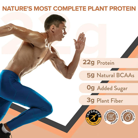 Wellbeing Nutrition Organic Vegan Plant Protein Isolate Powder | French Vanilla - 32gm with KUWA Bottle