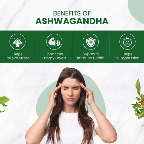 Himalayan Organics Ashwagandha 1000mg 120 Tablets