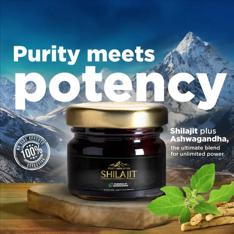 Wow Life Science Pure Himalayan Shilajit Resin | Powered By Ashwagandha - 20 G