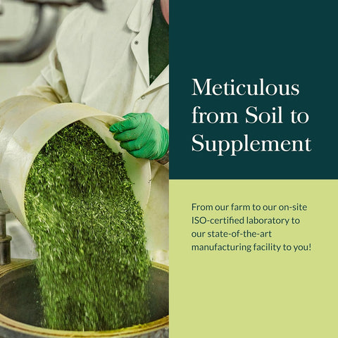 Gaia Herbs Vitex Berry Womens Health Support 60 Caps