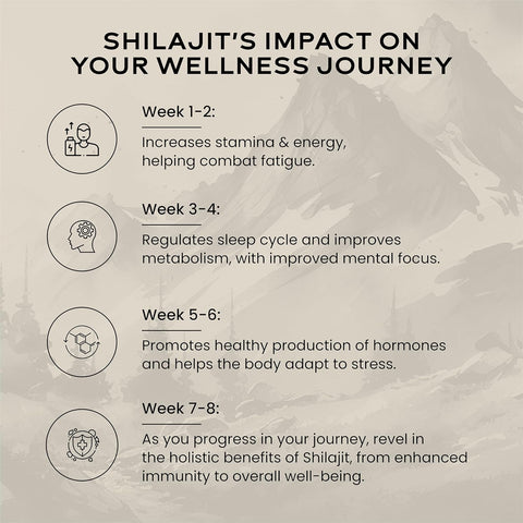 Wellbeing Nutrition Pure Himalayan Shilajit Gold Resin Pack Of 2