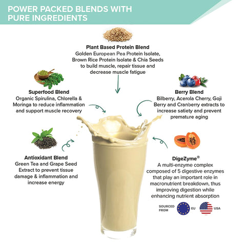 Wellbeing Nutrition Organic Vegan Plant Protein Isolate Powder | French Vanilla - 32gm with KUWA Bottle