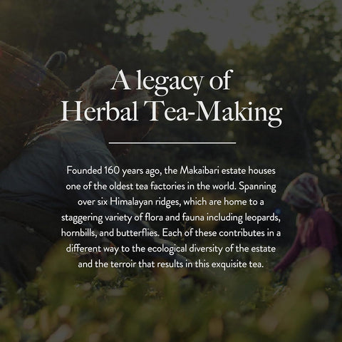 Wellbeing Nutrition Slim Adaptogenic Green Tea 40 Gms