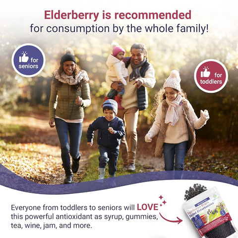 Purify Life Sambucus Nigra Elderberry Dried Bag 16 oz 454g