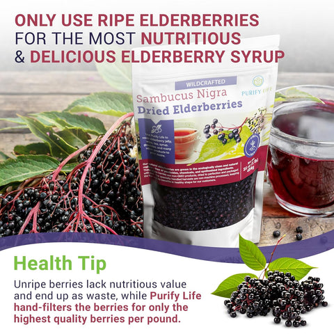 Purify Life Sambucus Nigra Elderberry Dried Bag 16 oz 454g