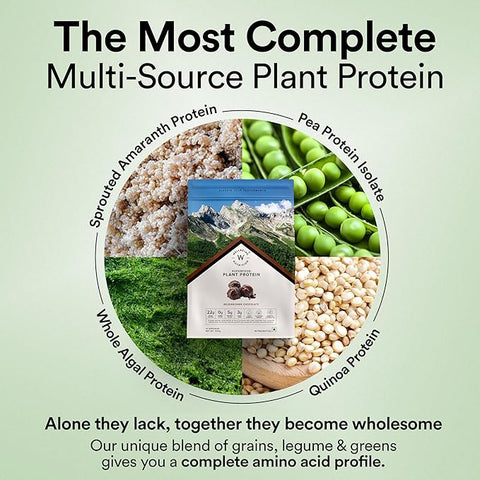 Wellbeing Nutrition Superfood Plant Protein Belgian Dark Chocolate