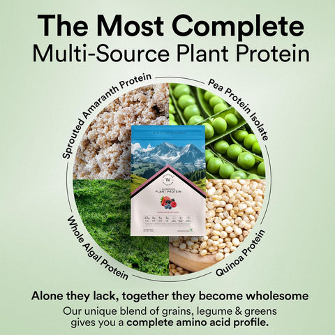 Wellbeing Nutrition Superfood plant protein - Canadian Mixed berries 500gms (15 servings)