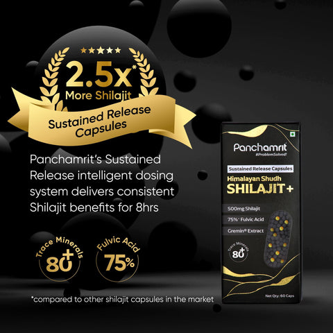 Panchamrit Shilajit 500 mg Capsules 60