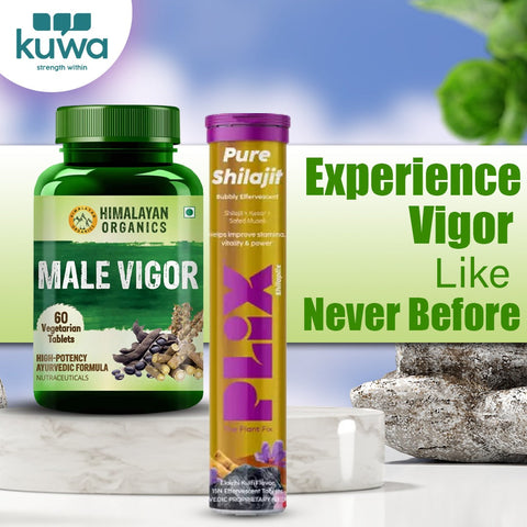 Himalayan Organics Male Vigor 60 Tablets and PLIX Pure Shilajit Elaichi Kulfi Flavour 15 Effervescent Tablets