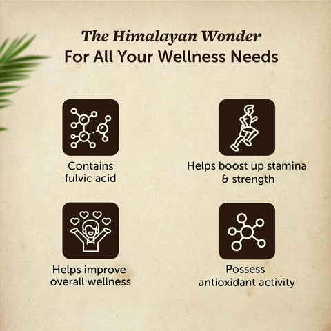 Neuherbs Pure Himalayan Shilajit 15g