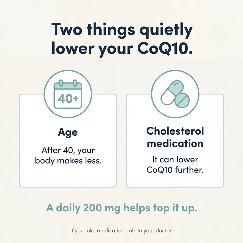 How CoQ10 works in the cell