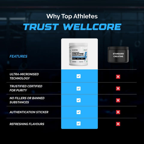 Wellcore Creatine Watermelon Wave (307g)